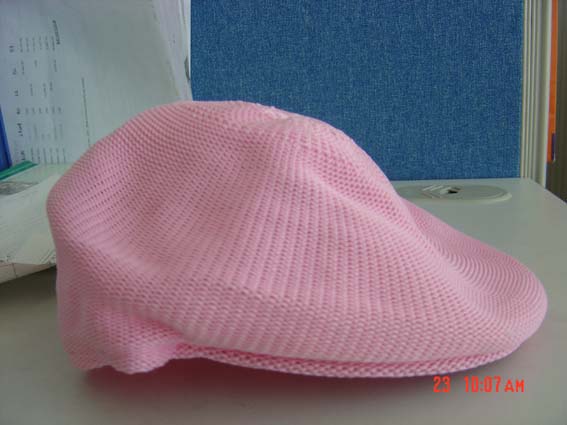 Knitted Caps ( Knitted Caps)