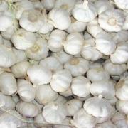  Normal White Garlic (Нормальный белый чеснок)