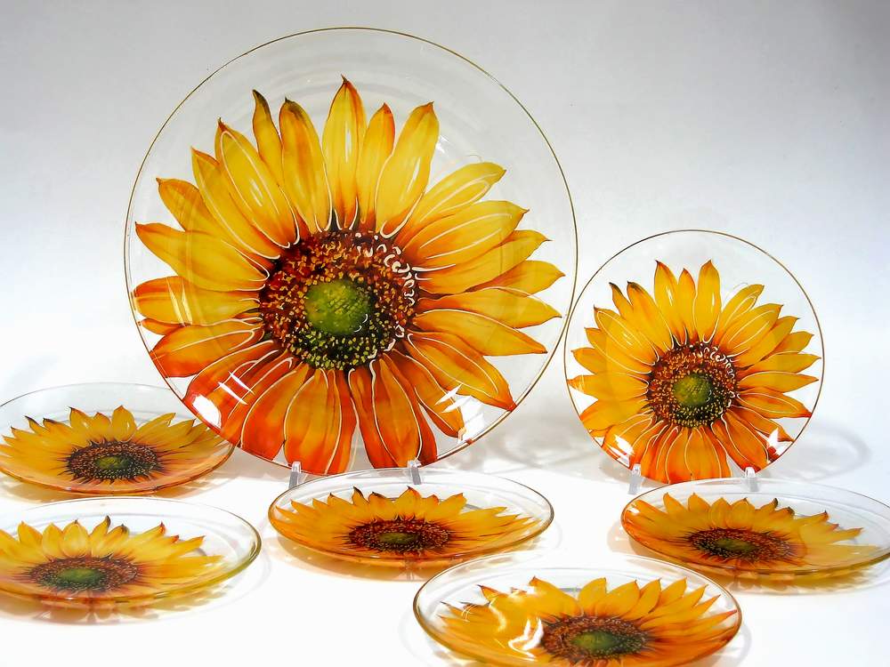  Glass Plate Set (Glass Plate Set)