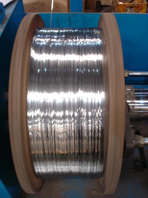  Galvanized Flat Steel Wire (Verzinkten Bandstahl Wire)