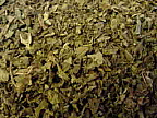 Patchouli Herb (Patchouli Herb)
