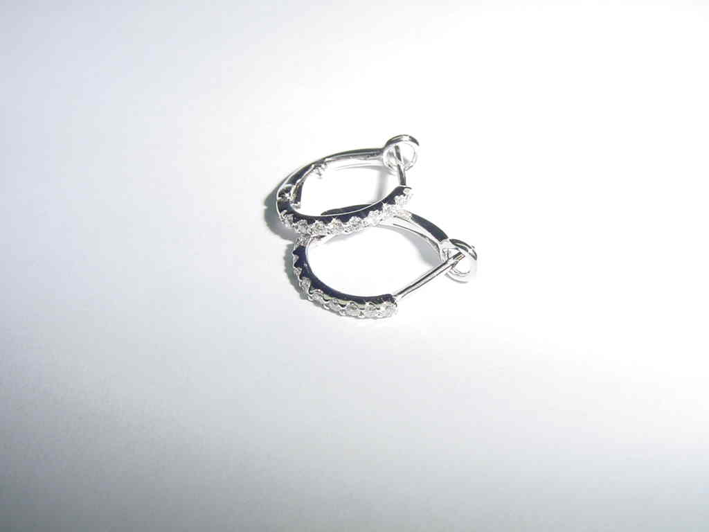  Diamond Loop Earring ( Diamond Loop Earring)