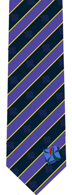  Silk Or Poly Woven Logo Necktie (Шелковый или поли тканые Logo Галстук)