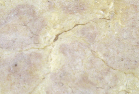 Betcheno Marble (Betcheno Мраморная)
