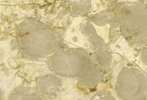  Brechia Marble (Brechia Мраморная)