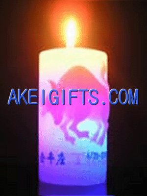  LED Candles (Bougies LED)