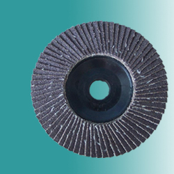  Coated Flap Disc (Beschichtete Flap Disc)