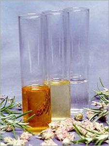 Lotus Oil (Absolute-Nelumbo Nucifera) , Lotus Essential Oil