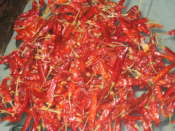  Dry Chilli (Dry Chilli)