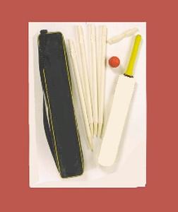 Cricket Set