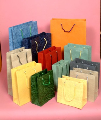  Eco-friendly Paper Shopping Bags (Umweltfreundliche Tragetaschen)