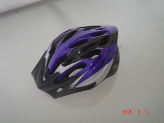  Bicycle Helmet ( Bicycle Helmet)