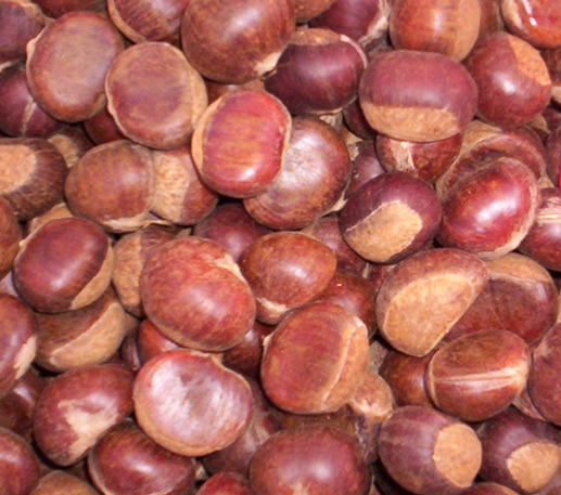  Chestnuts (Châtaignes et marrons)