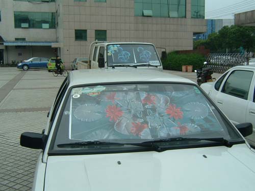  Roll-Sunshade With Convenience