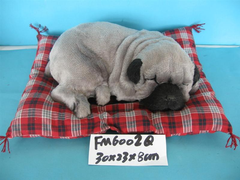  Sleeping Dog On Blanket (Sleeping Dog On Decke)