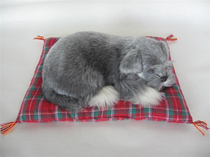  Sleeping Dog On Blanket (Sleeping Dog sur la couverture)
