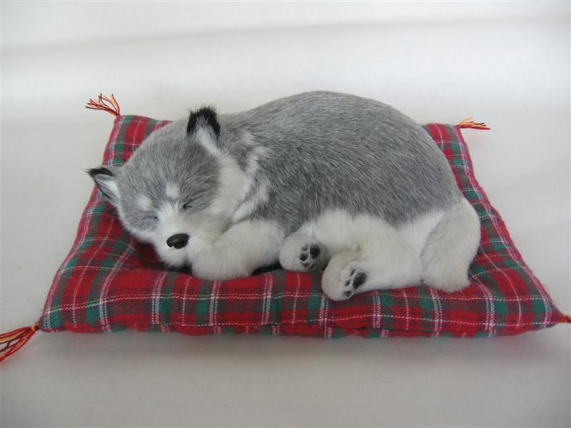  Sleeping Dog On Blanket (Sleeping Dog On Decke)