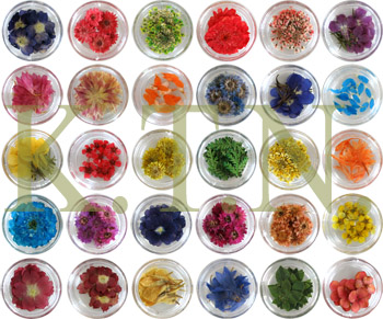  Nail Art - Dried Real Flowers (Nail Art - сушеные живые цветы)