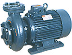 Monoblock Pump Sets (Monoblock Pump Sets)