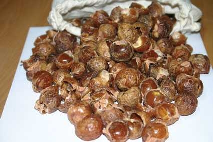  Soap Nut Shells / Sapindus Mukorossi (Мыльные орехи / Sapindus Mukorossi)