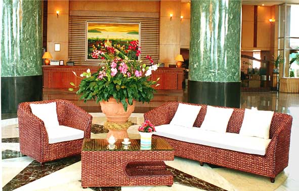  Water Hyacinth Sofa Set (Wasserhyazinthe Sofa Set)