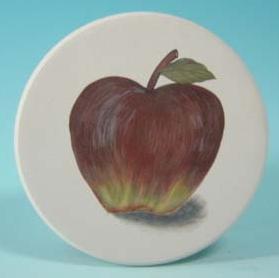  Absorbent Coaster / Tile Coaster