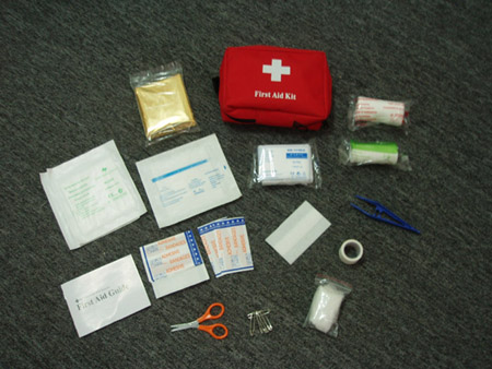  First Aid Kit (Trousse de premiers soins)