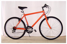  Quality Bicycle For Promotion Premium Gift