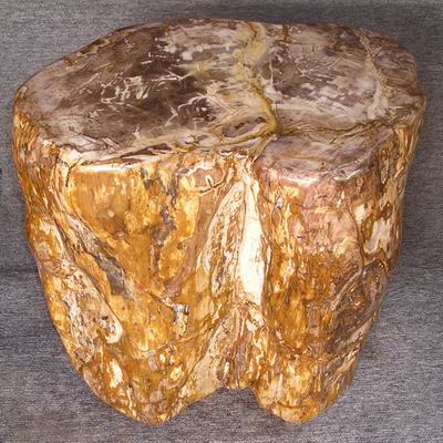  Polished Petrified Wood Tables (Полированная окаменелое дерево таблиц)