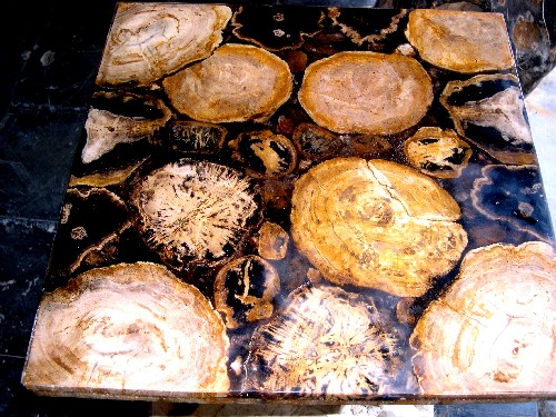  Petrified Wood Table Tops (Окаменевшего дерева Столешницы)