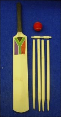  Cricket Sets (Борьба наборы)