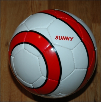  Soccer Balls / Promotional Balls (Soccer / ballons promotionnels)