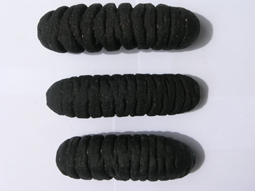 Getrocknete Seegurken (Getrocknete Seegurken)