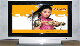 32 Zoll LCD-Fernseher (32 Zoll LCD-Fernseher)