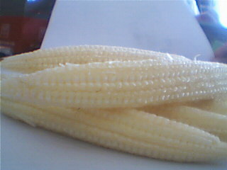  Young Corn (Young maïs)
