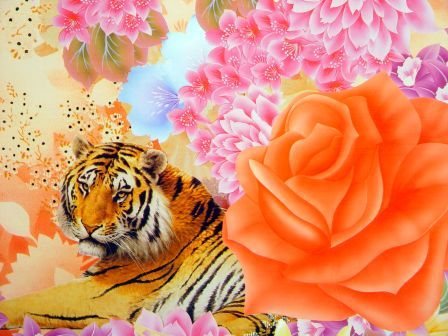  PVC Table Cloth (PVC Nappe)