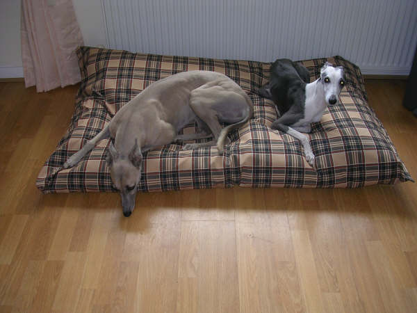  Waterproof Dog Bed