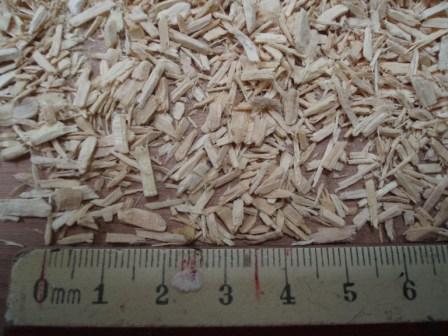  Tongkat Ali Root (Chips) (Tongkat Ali Root (Chips))