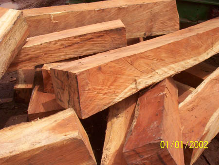  Ajzelia Timber (Ajzelia bois)