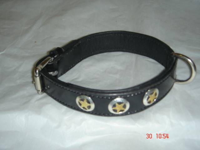 Dog Collars
