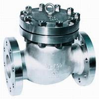  Swing Check Valve ( Swing Check Valve)