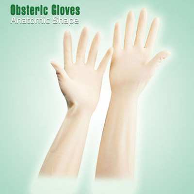  Latex Obstetric Gloves (Gants en latex obstétrique)