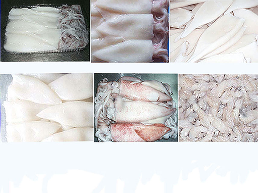  Frozen Squid Tubes (Gefrorene Kalmare Tubes)