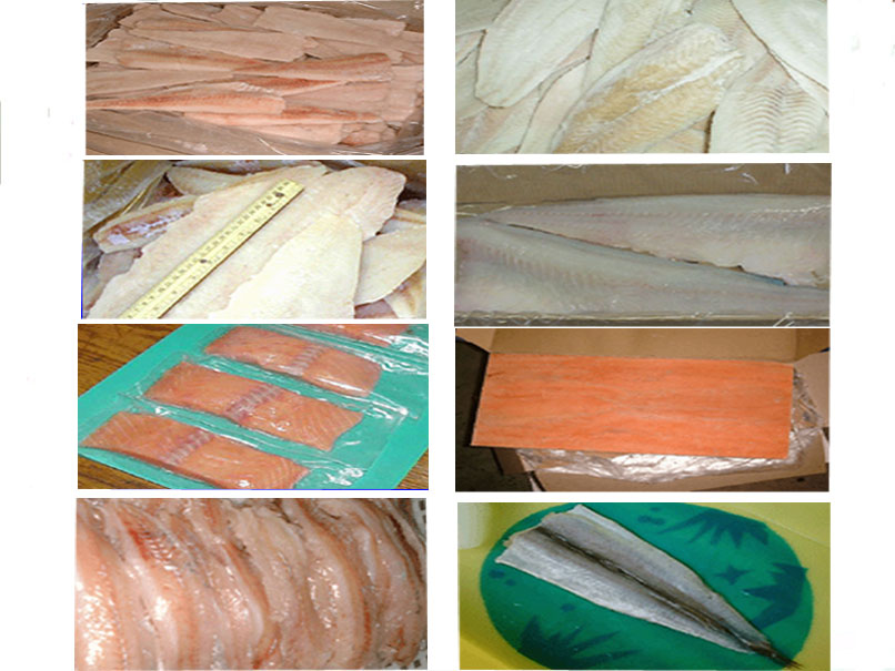  Fish Products ( Fish Products)