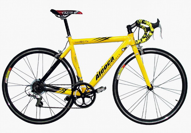  Alloy Racing Bike