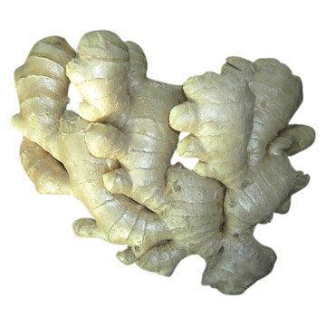  Dry Ginger (Сухая Имбирь)