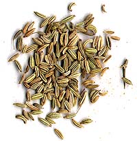 Fennel Seed (Fenchelsamen)