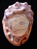  Cameo Hand Carved Italian Genuine Cornelian Shell (Cameo Hand Carved italienischen Original Kornelkirsche Shell)