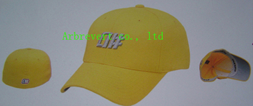  Flexfit Cap (Flexfit Cap)