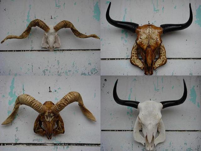  Yak Head Artware